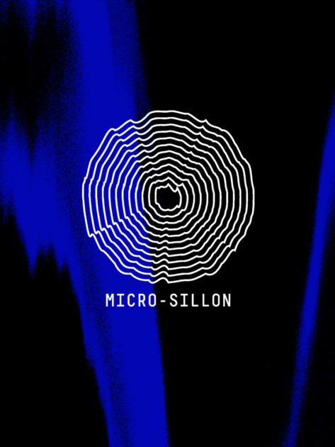 Site Micro-sillon : accueil