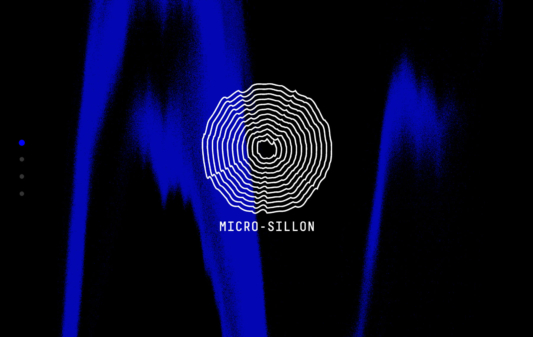 Site Micro-sillon : accueil